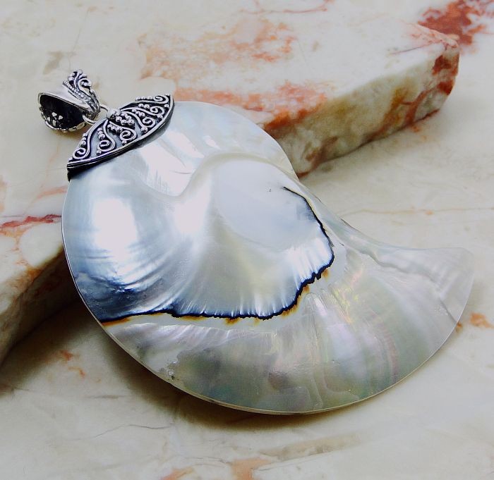 Zilveren edelsteen hanger met grote Nautilus schelp