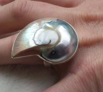 Zilveren edelsteen ring met Nautilus schelp maat 16.5 mm