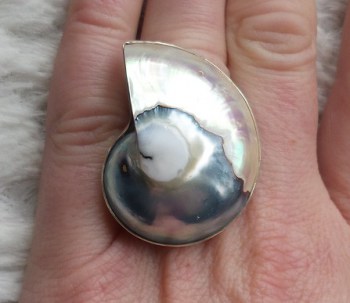 Zilveren edelsteen ring met Nautilus schelp maat 16.5 mm