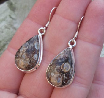 Zilveren oorbellen met druppelvorm Turitella Agaat