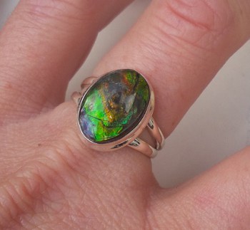 Zilveren ring gezet met Ammoliet ring maat 17.5 mm